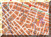 cruzdelsur.jpg (35841 bytes)
